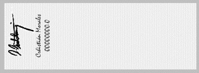 Imagen del reverso de un Cheque a la orden